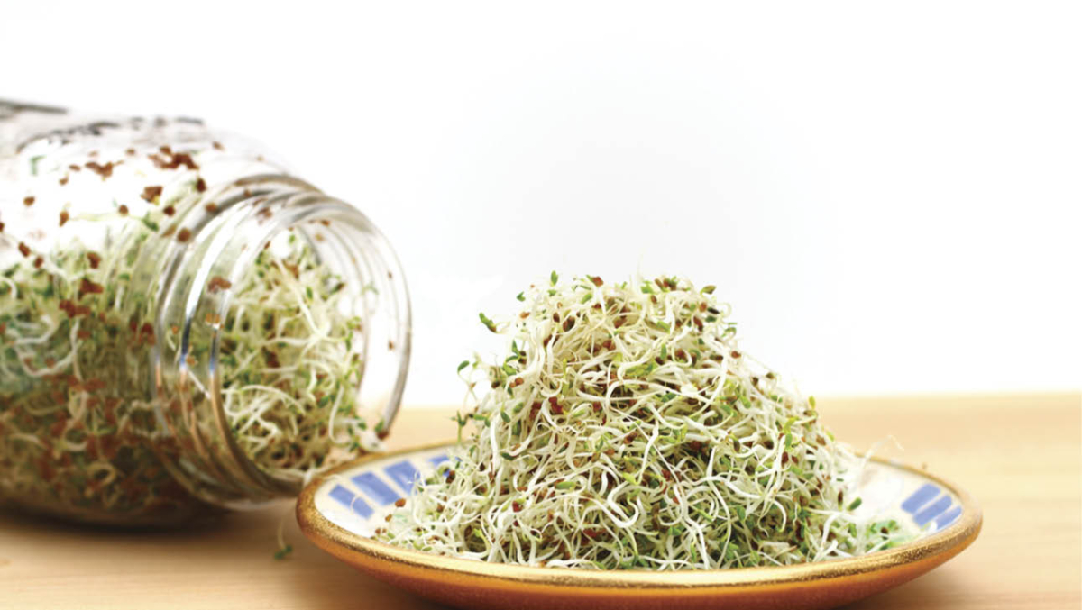 Sprouts are ready in about a week. (istock).\
