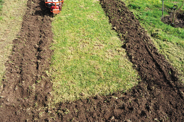 A rotary hoe is a quick way of converting turf to garden beds.