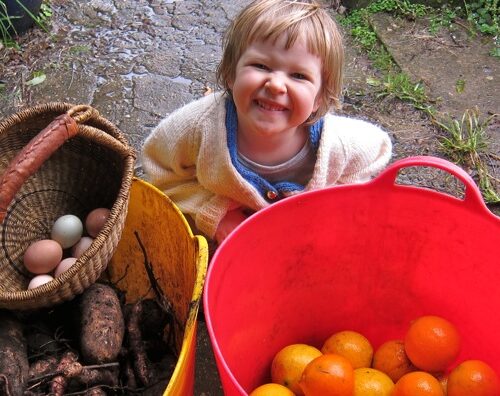 Harvest festival in the rain