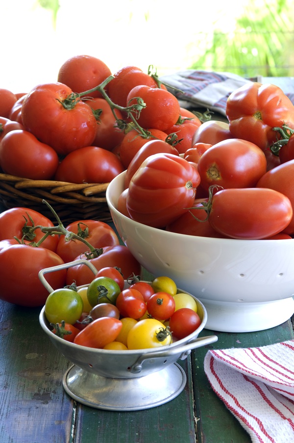 Organic tomatoes are better for you
