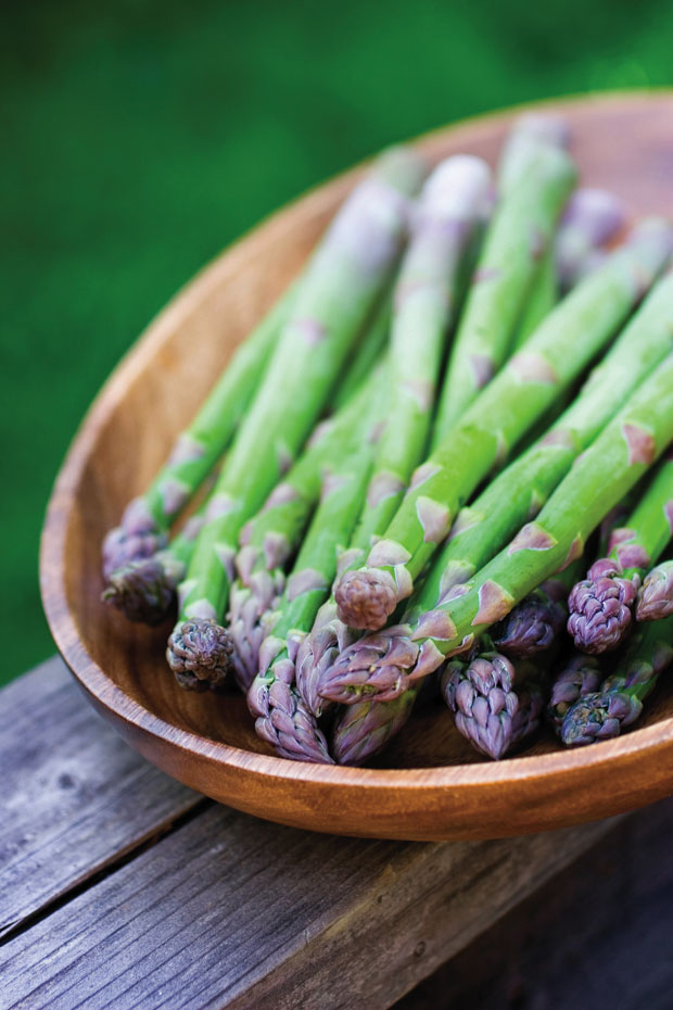 Succulent spears of freshly picked asparagus are delicious raw or cooked.
