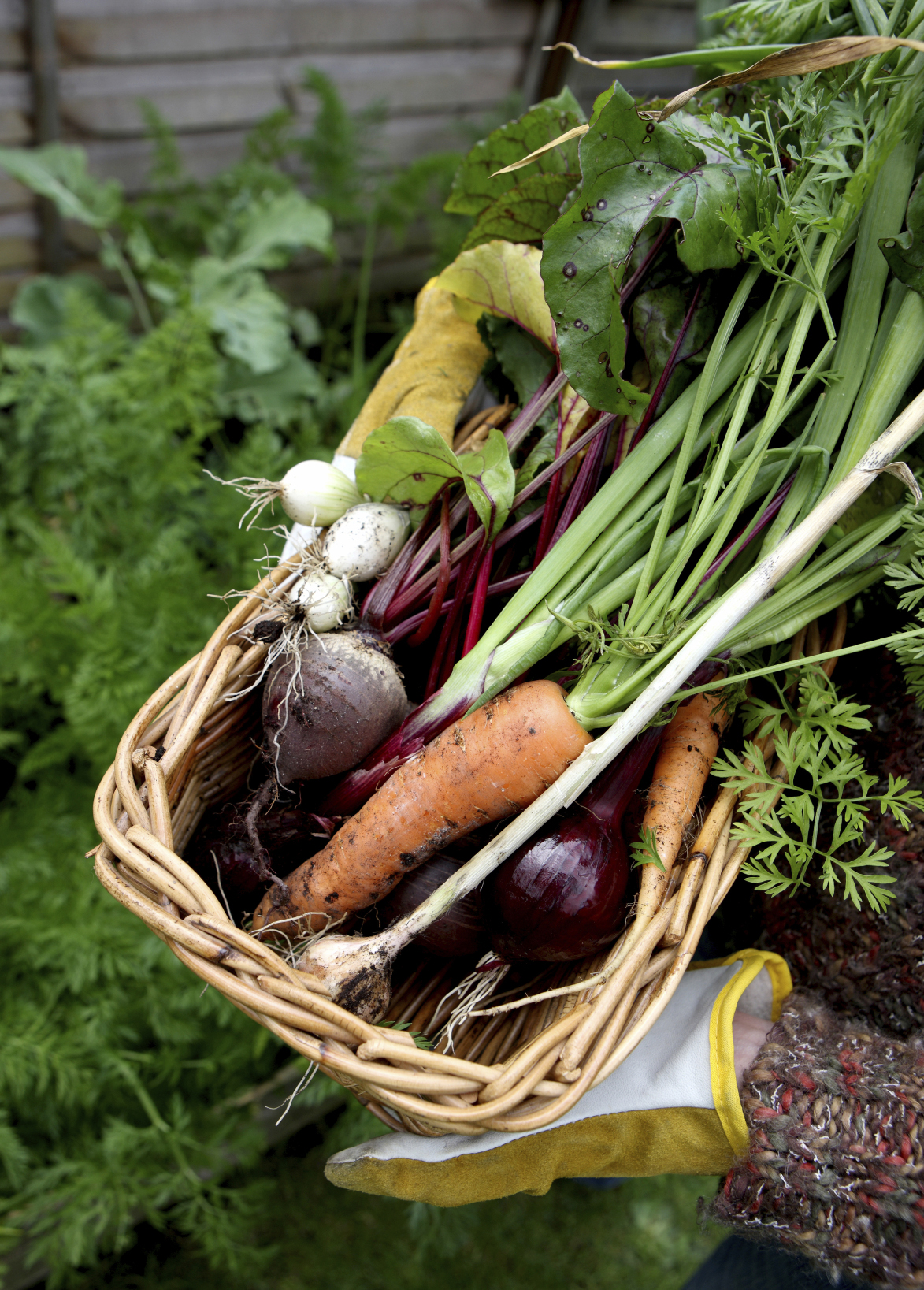 Fresh, organic produce.