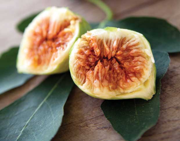 Once figs are picked, they stop ripening and need to be eaten or preserved as soon as possible.