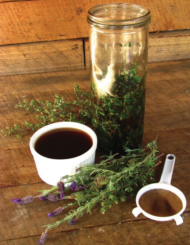 Herbs and alcohol can be used to make a tincture to treat head lice.
