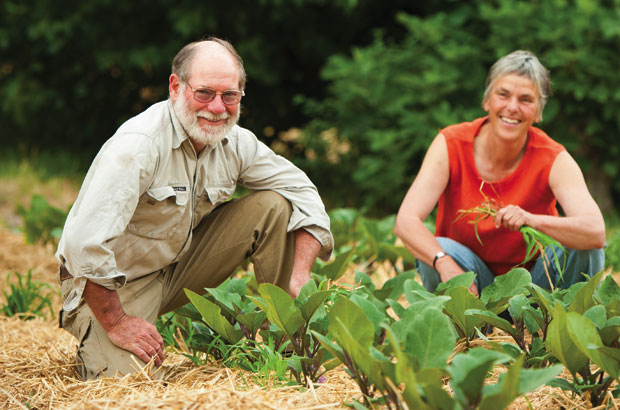 Graham and Annemarie Brookman in their market garden at The Food Forest.