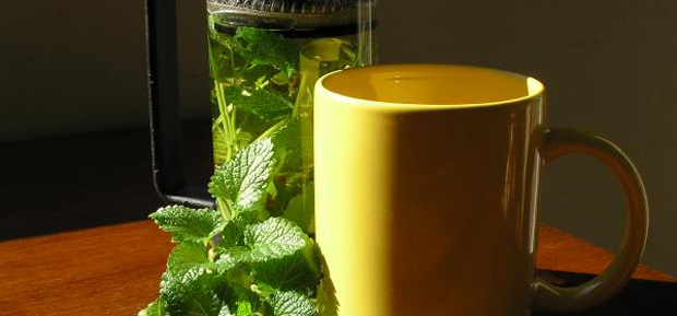 Herbal Tea, grow your own