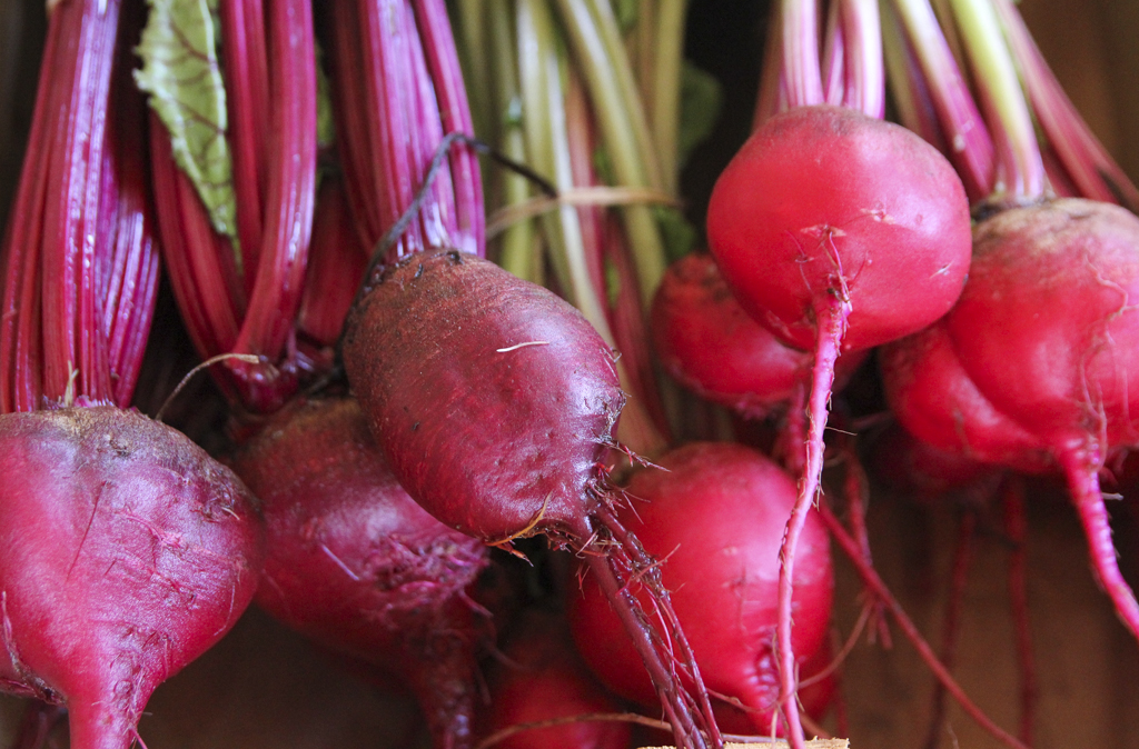 harvested beetroot