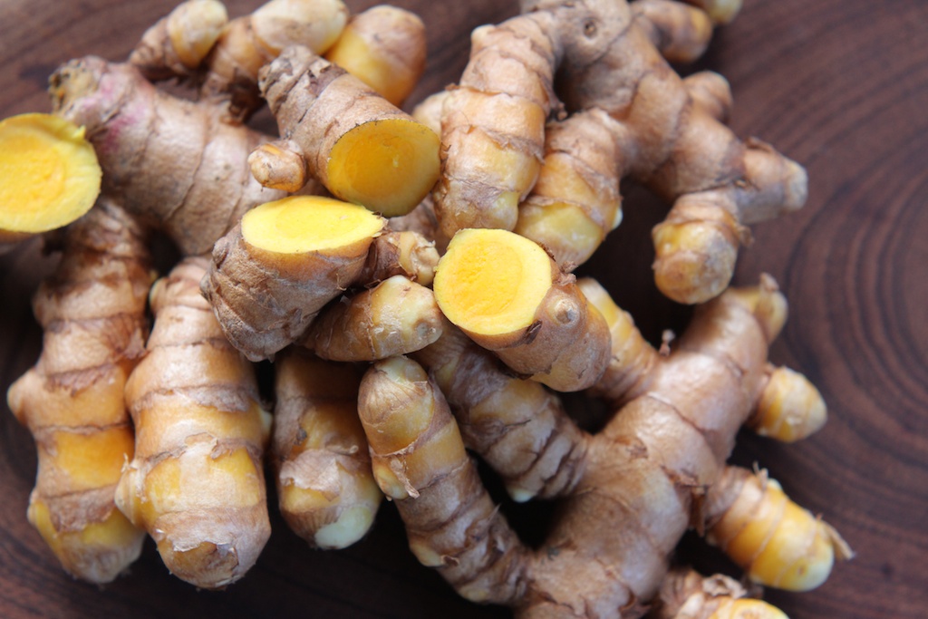 Freshly harvested turmeric roots
