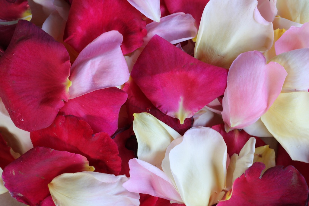 Delicous rose petals
