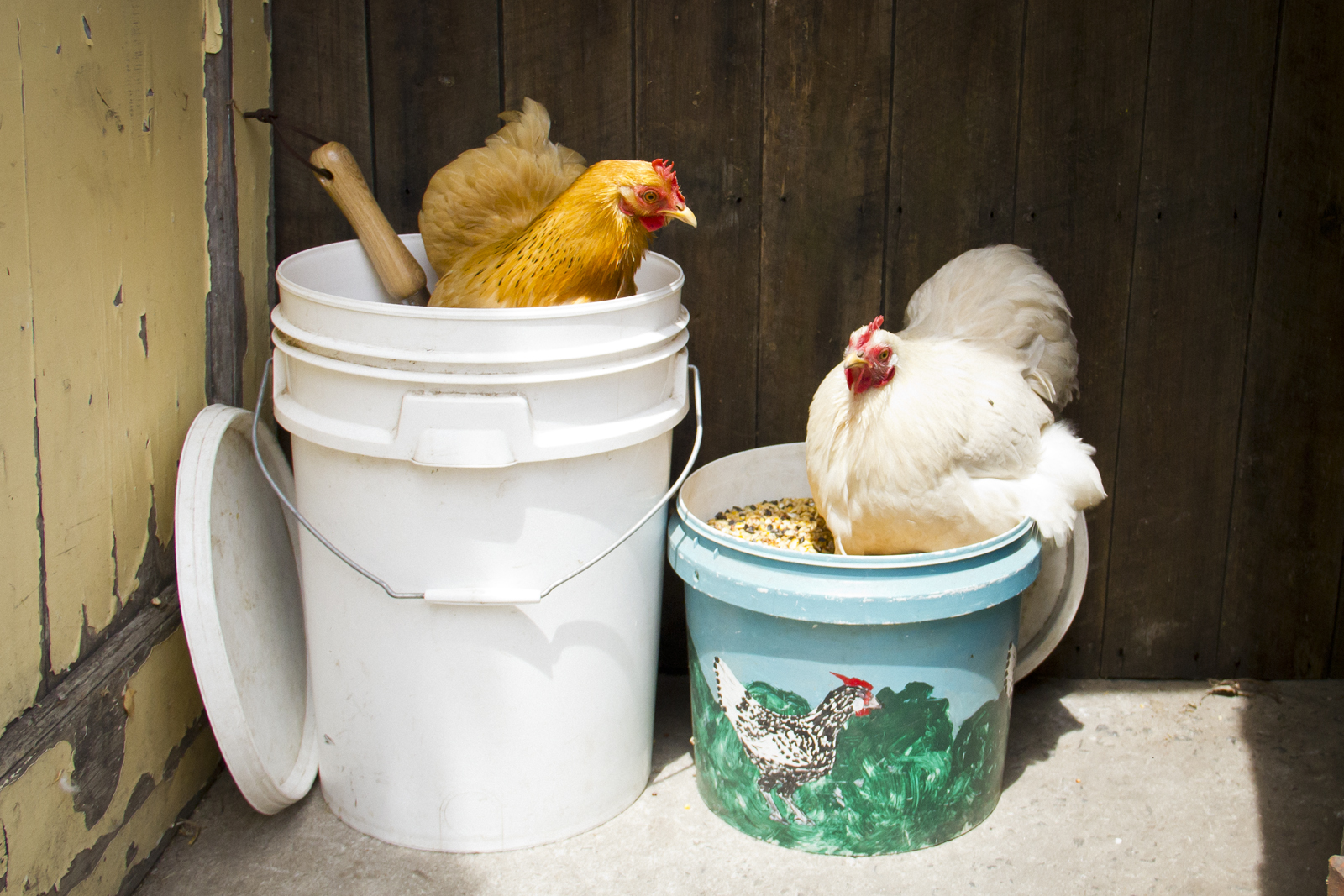 Keep pests out of your feed bins!