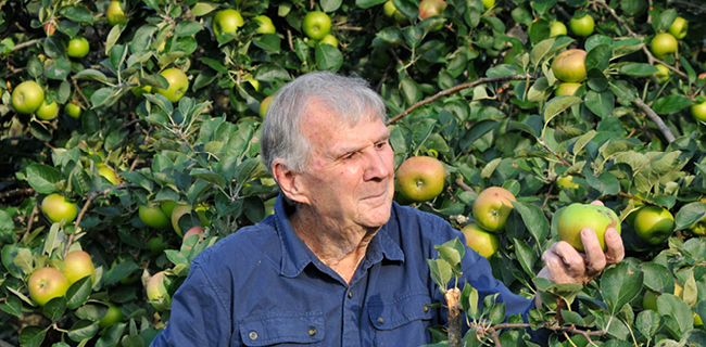 Peter Cundall and fruit trees