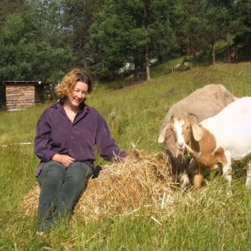 Linda Cockburn and goats