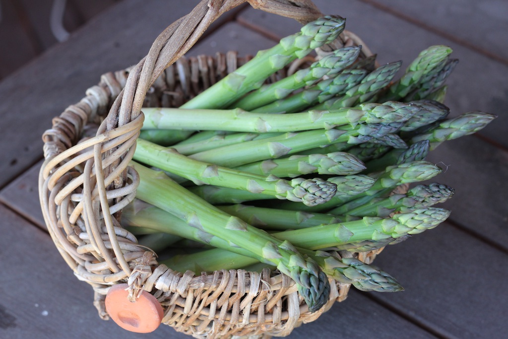 A basket of asparagus