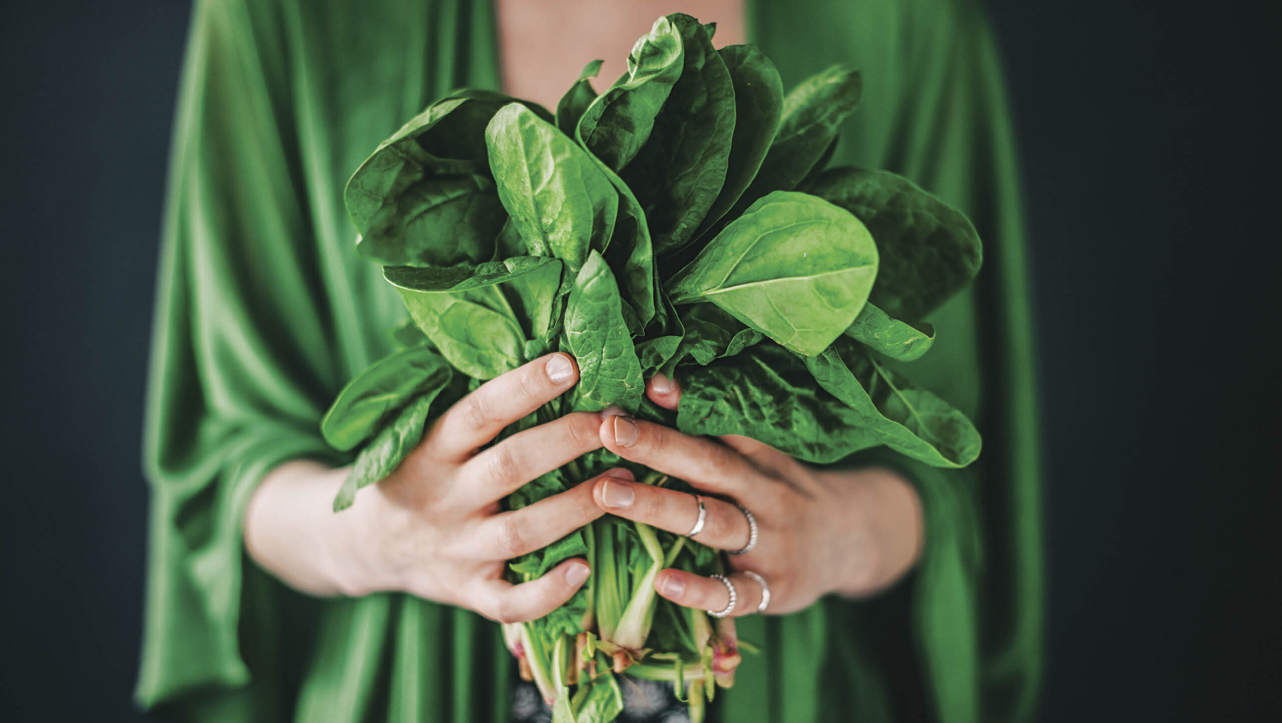 English spinach loves the cool season.