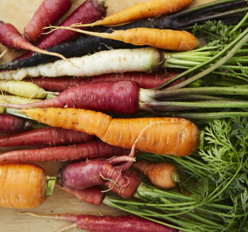 Colourful carrots