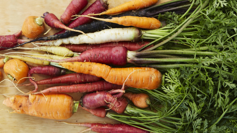 Colourful carrots