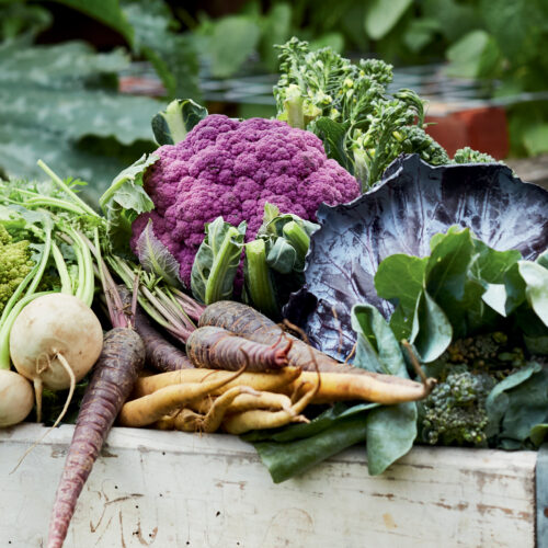 A tubful of leafy green vegetables, including cauliflower and cabbage.