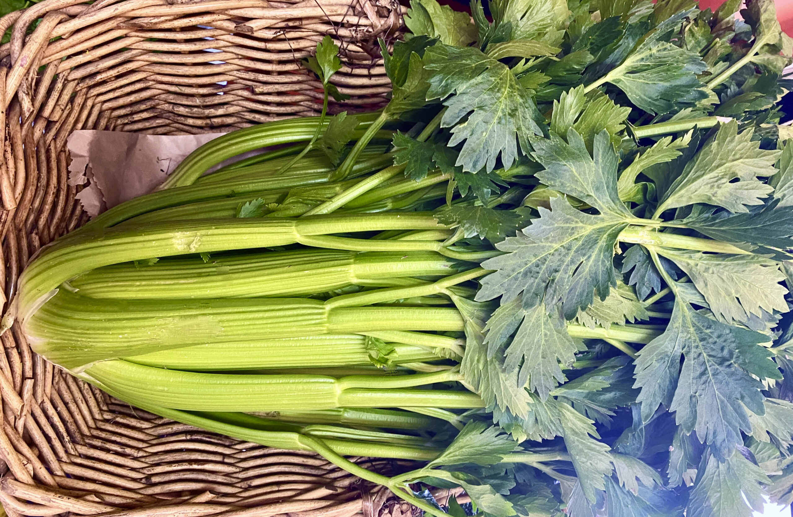 Bunch of celery in a basket.