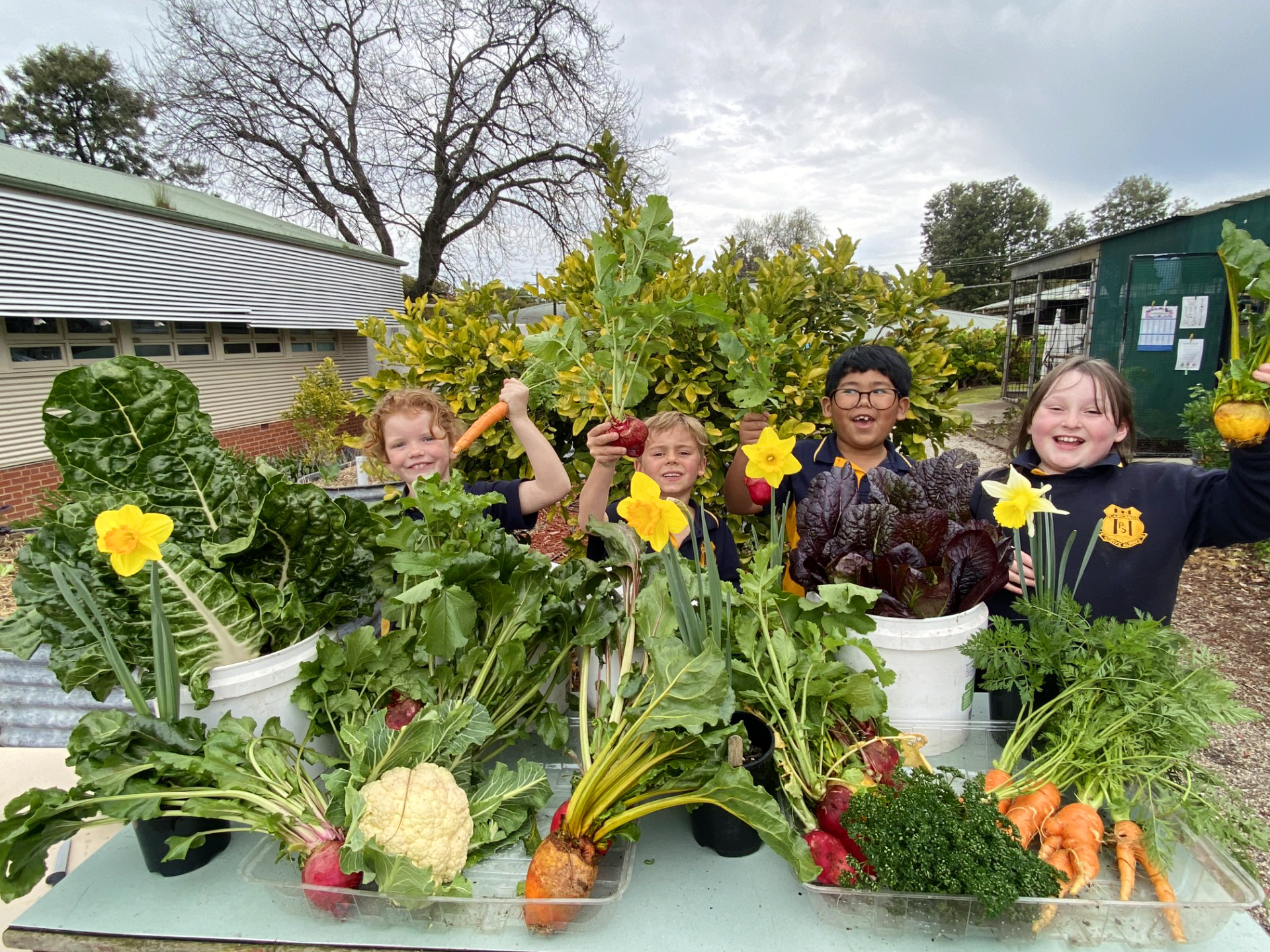 Growing creativity in Australian schools