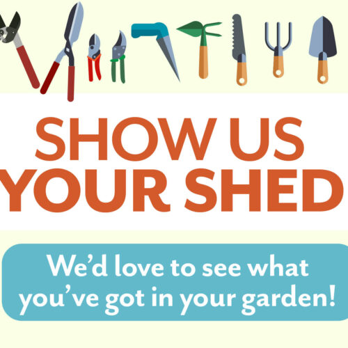 Enter the ABC Organic Gardener Show Us Your Shed competition