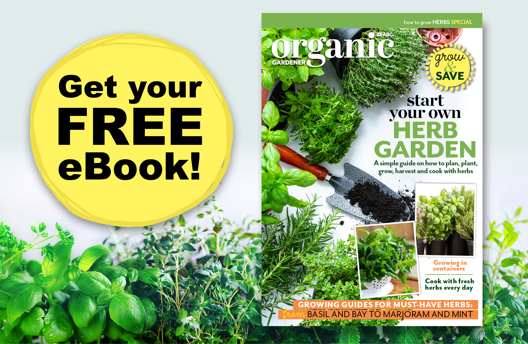 Learn how to grow herbs with expert advice from ABC Organic Gardener magazine.