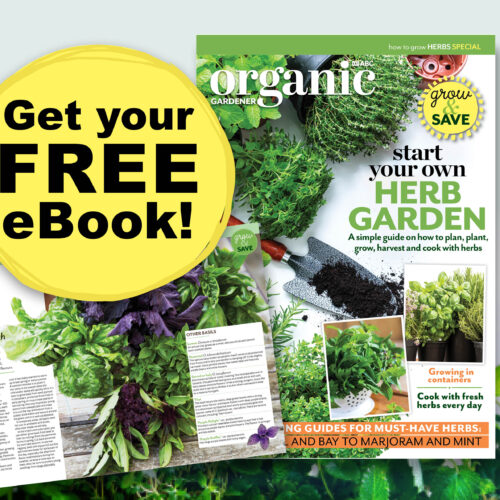 ABC Organic Gardener's free ebook