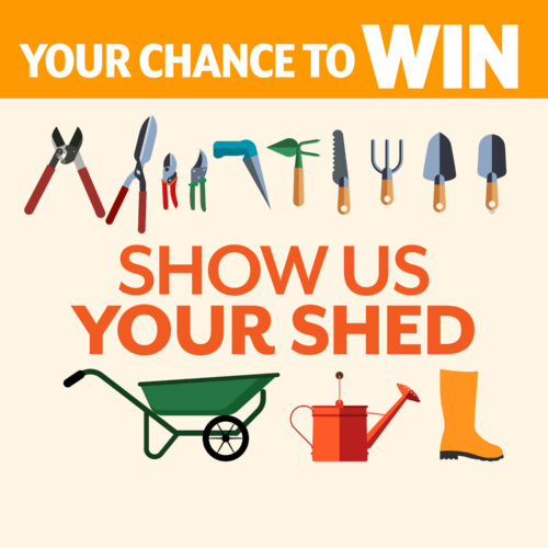 Show us your shed competition