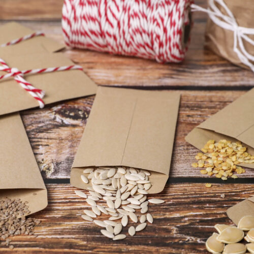 Saving seeds and then packaging them up as gifts.