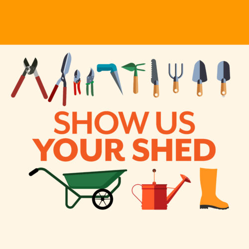 Winners of our 2025 Show us your Shed competition.