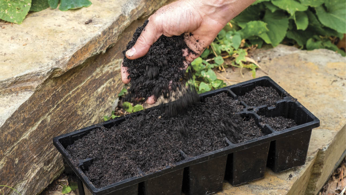 Seed sowing basics - ABC Organic Gardener Magazine