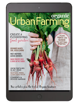 Essential Guide Urban Farming