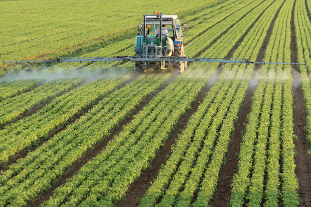 Chemical spraying on crops